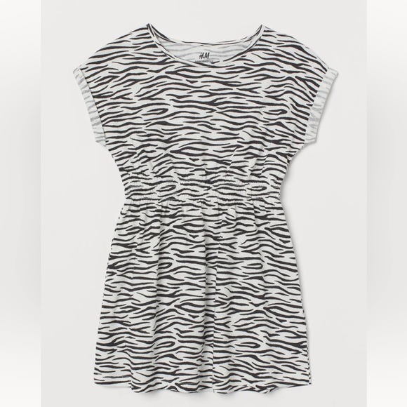 H&M Other - H&M Toddler Girls Zebra Print Dress